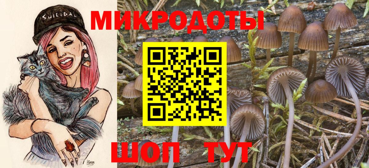 Псилоцибиновые грибы Psilocybine cubensis Строитель